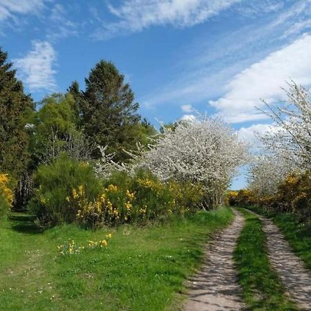 Lower Bruntlands سانت جاتين ديه بوا المظهر الخارجي الصورة