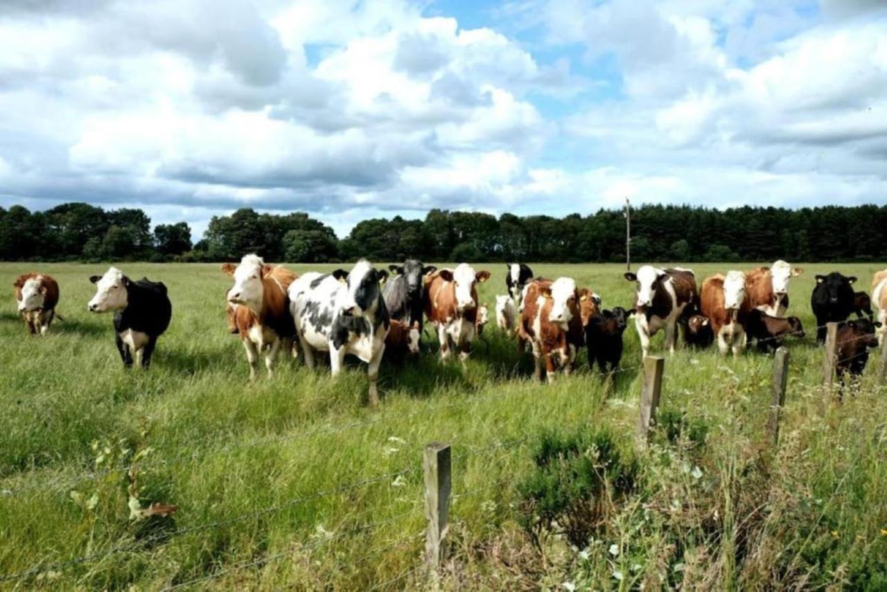 Lower Bruntlands سانت جاتين ديه بوا المظهر الخارجي الصورة